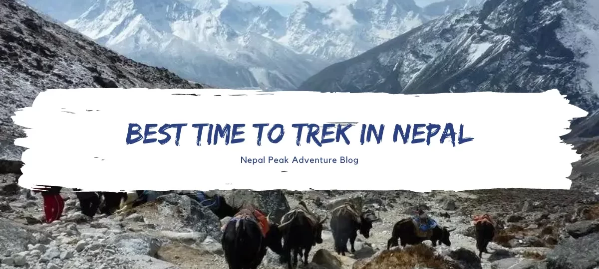 best-time-to-trek-in-nepal