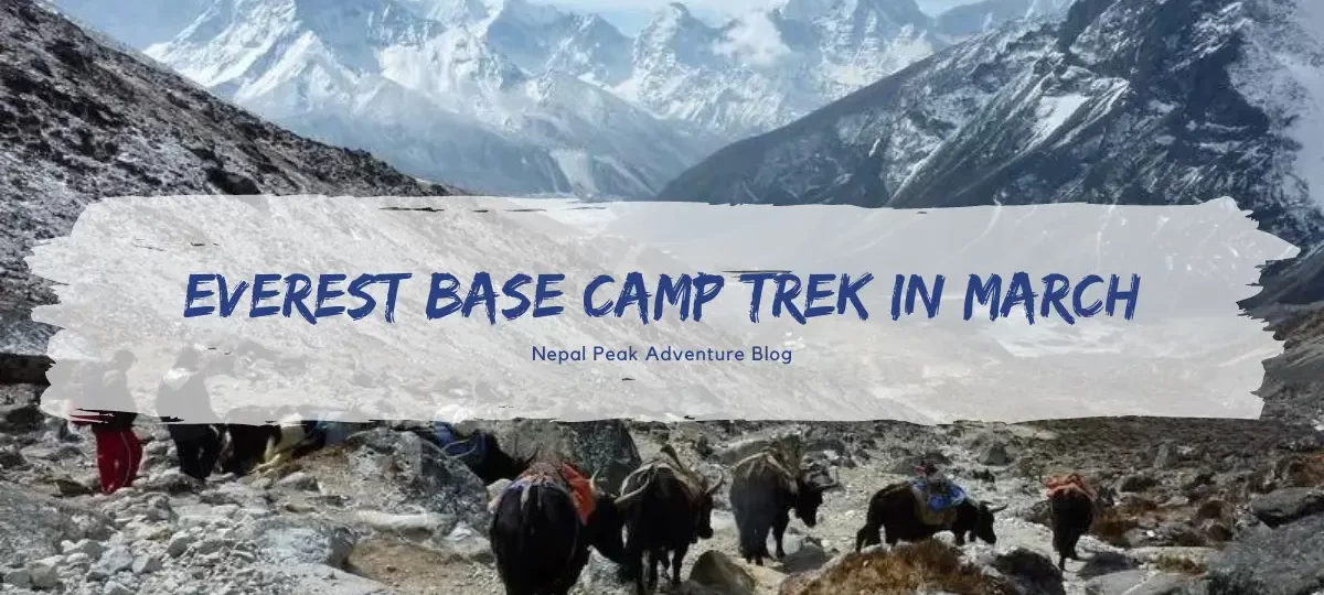 Everest base camp trek in march best sale