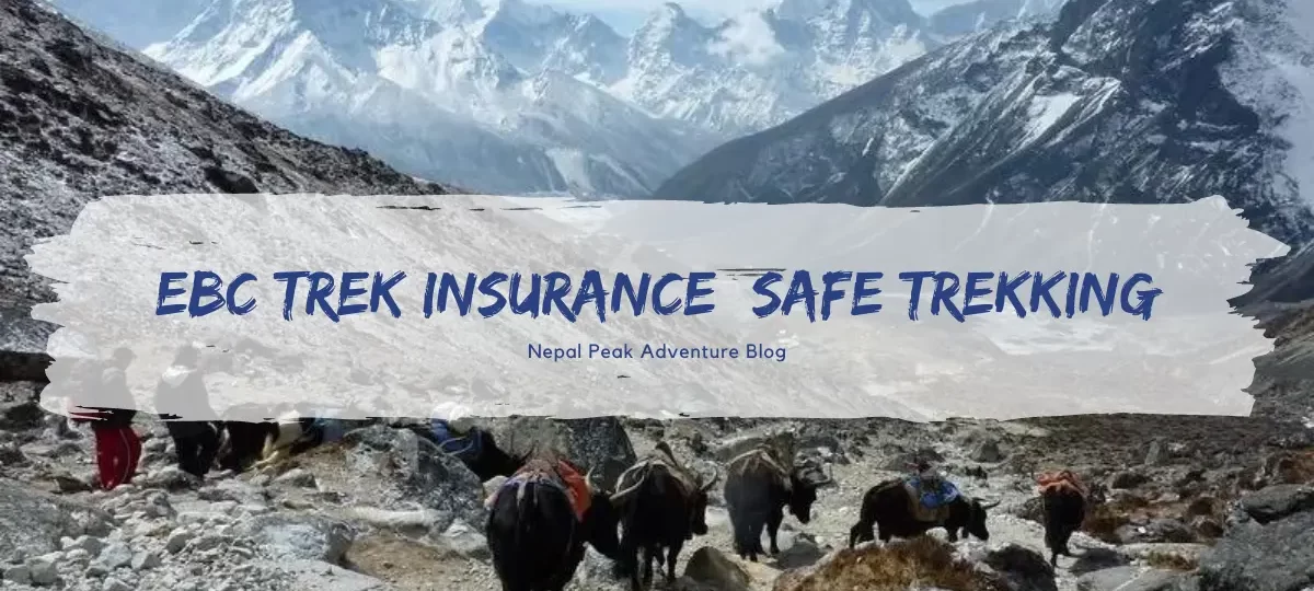 everest-base-camp-insurance