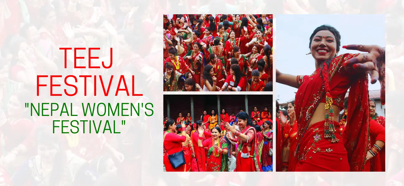 Teej Festival A Celebration of Women, Devotion, and Tradition