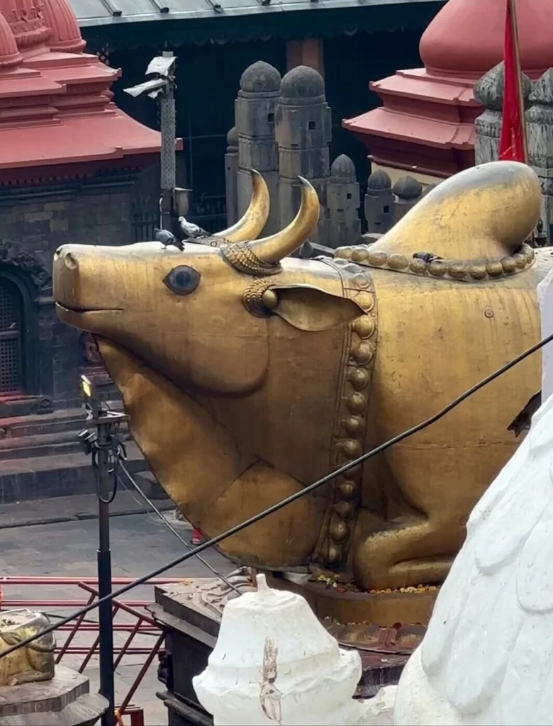 Pashupatinath Temple: Kathmandu, Nepal 5 nandi-shiva