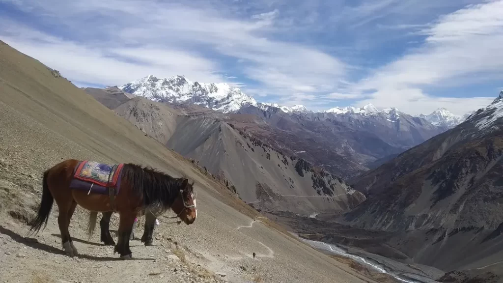 Complete Guide to the Annapurna Circuit Trek Cost 5 annapurna-circuit-trek-transportation-cost